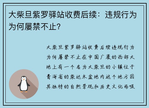 大柴旦紫罗驿站收费后续：违规行为为何屡禁不止？