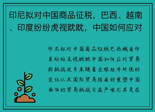 印尼拟对中国商品征税，巴西、越南、印度纷纷虎视眈眈，中国如何应对贸易新挑战？